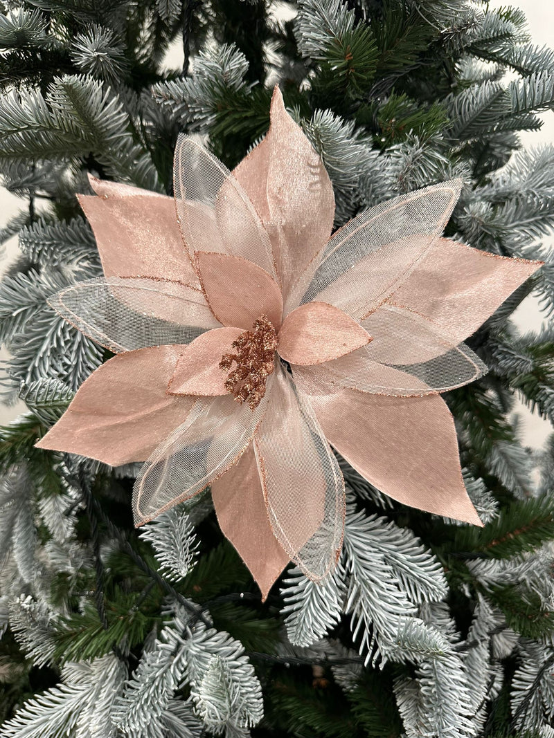 PALE PINK POINSETTIA - JXG090-Two Turtle Doves Australia