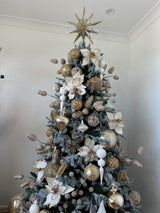 20CM, CHAMPAGNE BAUBLE PEARL FINISH IN PVC TUBE - OX368619-Two Turtle Doves Australia