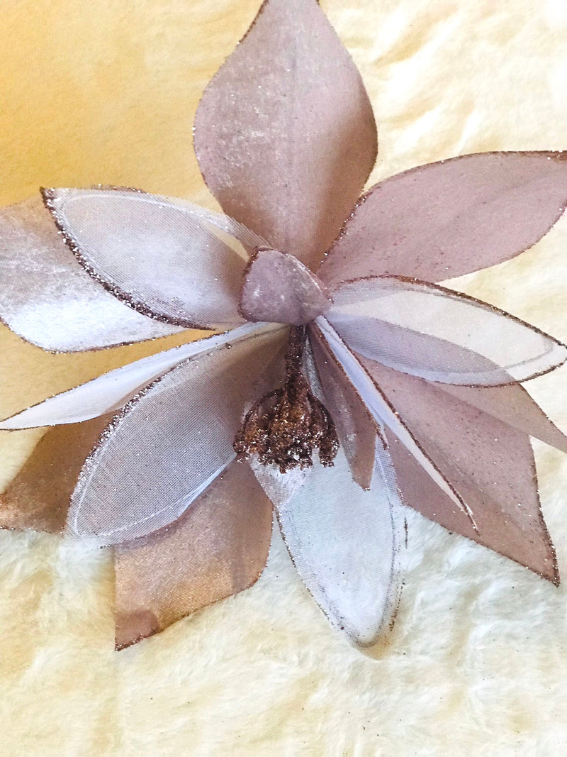 PALE PINK POINSETTIA - JXG090-Two Turtle Doves Australia