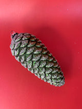 GREEN GLASS PINECONE SHAPED - GQAM119-Two Turtle Doves Australia